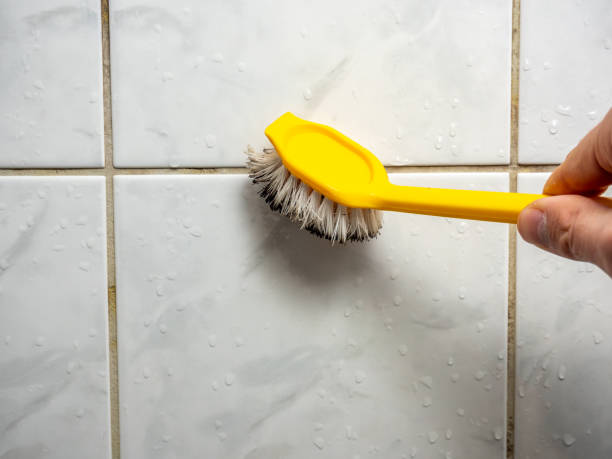 Best Mold Cleaning Services  in Alexandria, KY