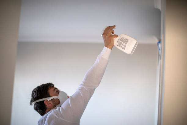 Best Fast Mold Removal  in Alexandria, KY