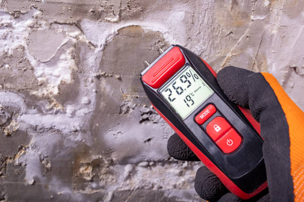 Best Residential Mold Removal  in Alexandria, KY