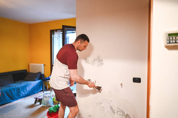 Professional Mold Removal in Alexandria, KY